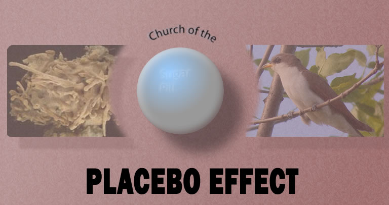 Church of the Placebo Effect